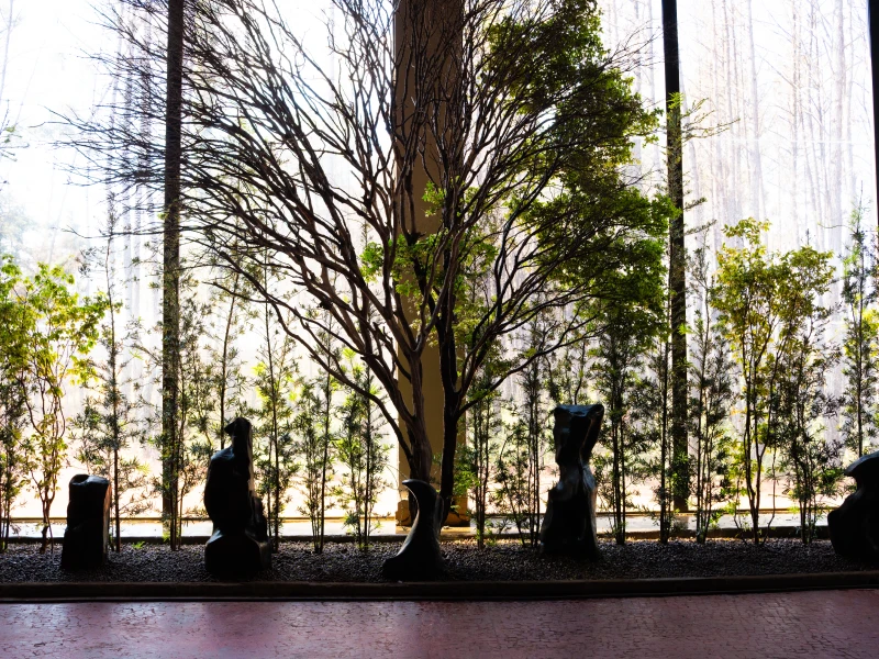 jardim_origem_interior_2-icone1x